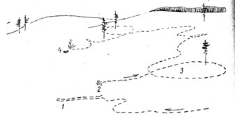 Путь зайца-русака на лежку: 1 - вздвойка; 2 - сметка; 3 - петля; 4 - лежка 