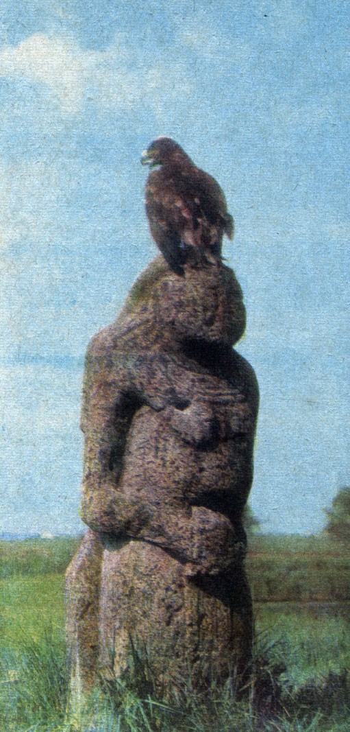 Каменная баба в Аскании-Нова